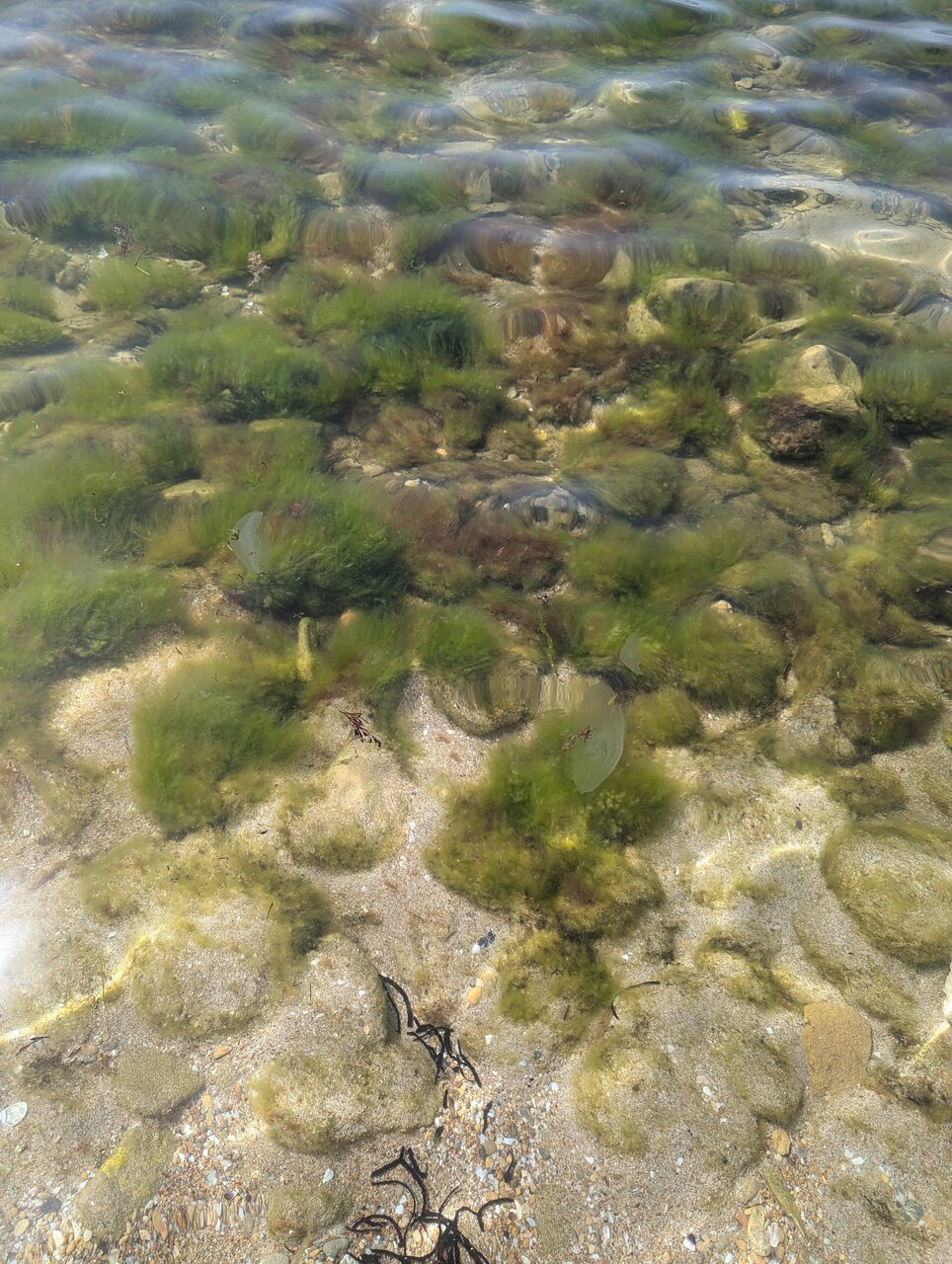 Гостиница Приморье Евпатория-207