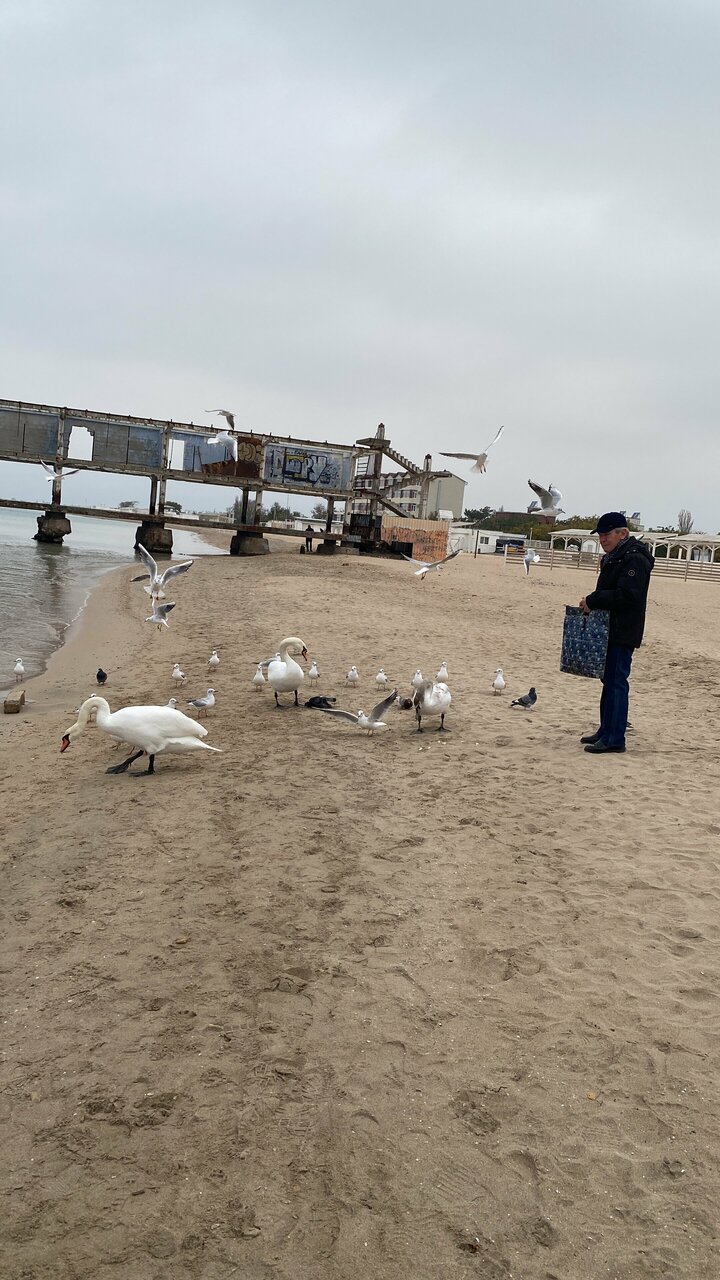 Гостиница Приморье Евпатория-215