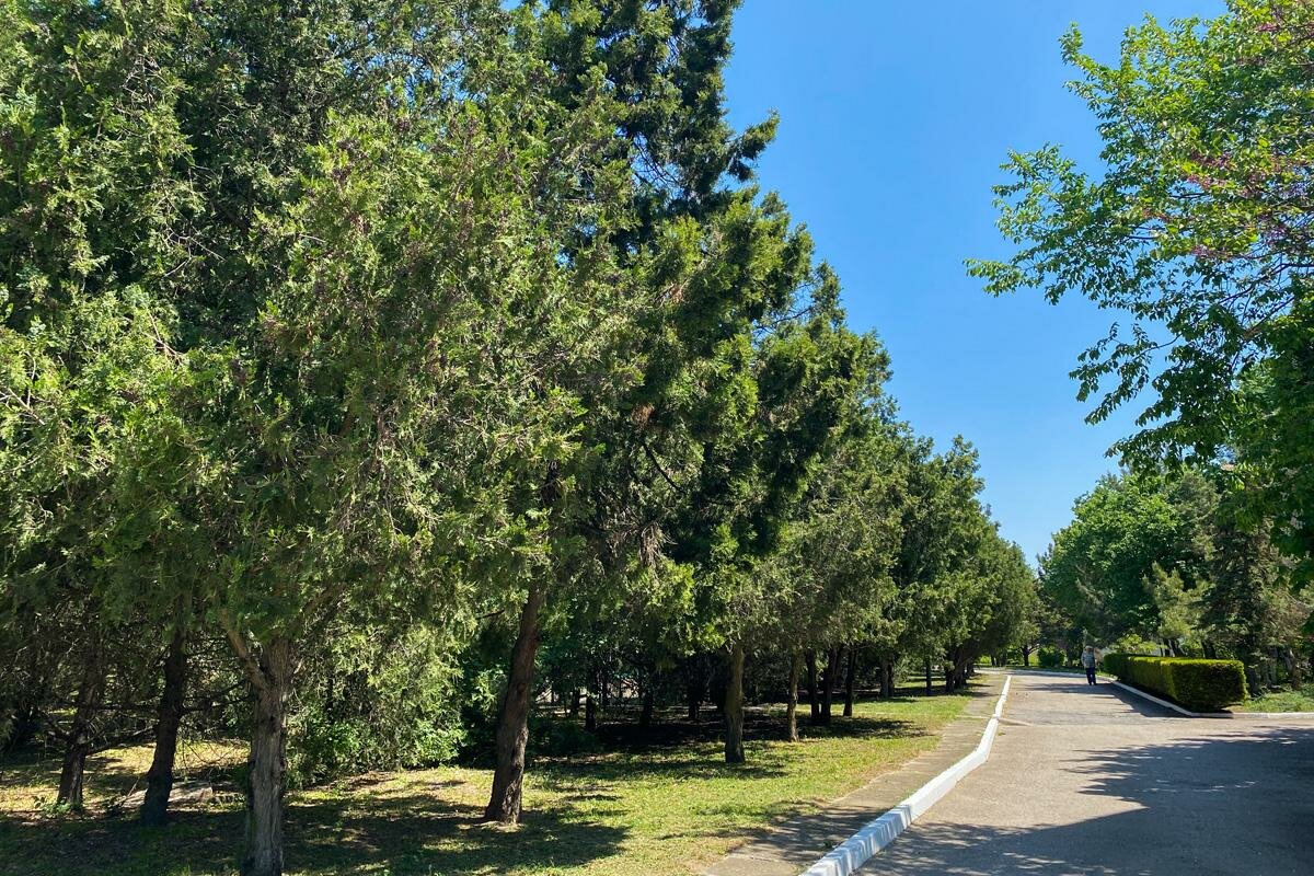 Гостиница Приморье Евпатория-45