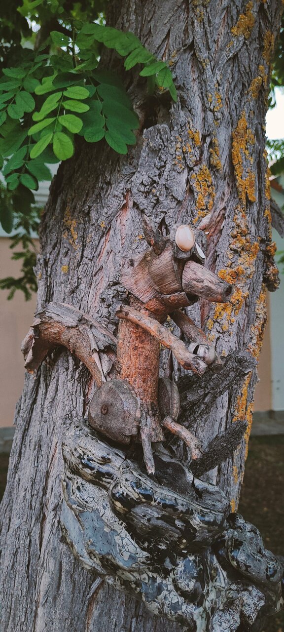 Гостиница Приморье Евпатория-201