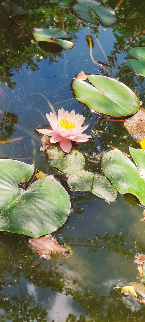 Гостиница Приморье Евпатория-177