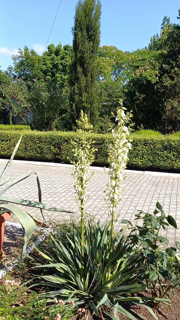 Гостиница Приморье Евпатория-202