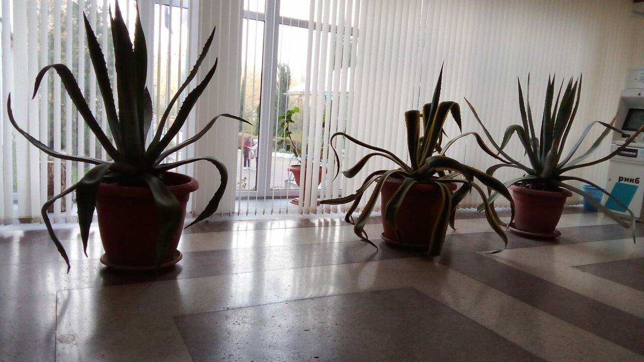 Гостиница Приморье Евпатория-217