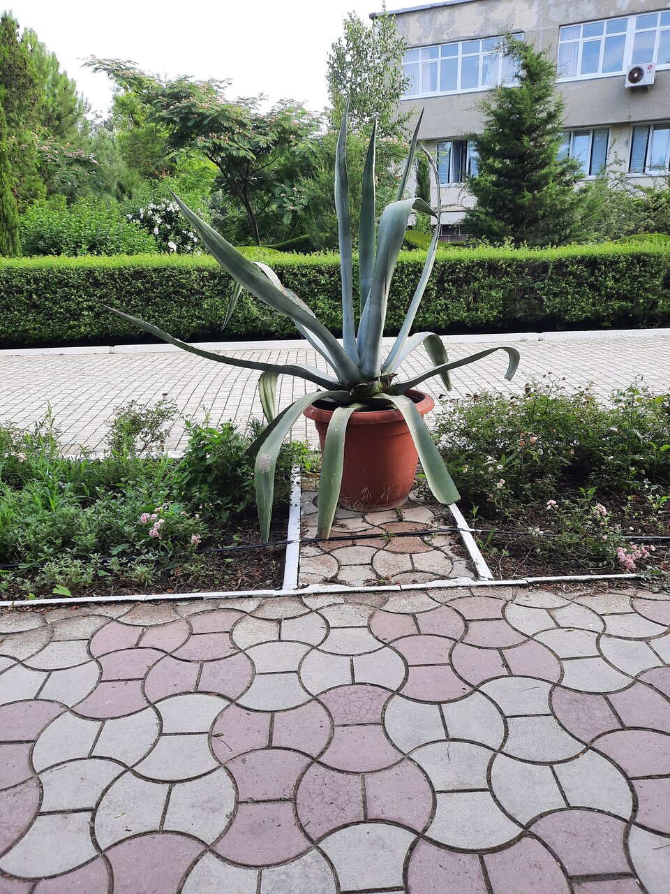 Гостиница Приморье Евпатория-179