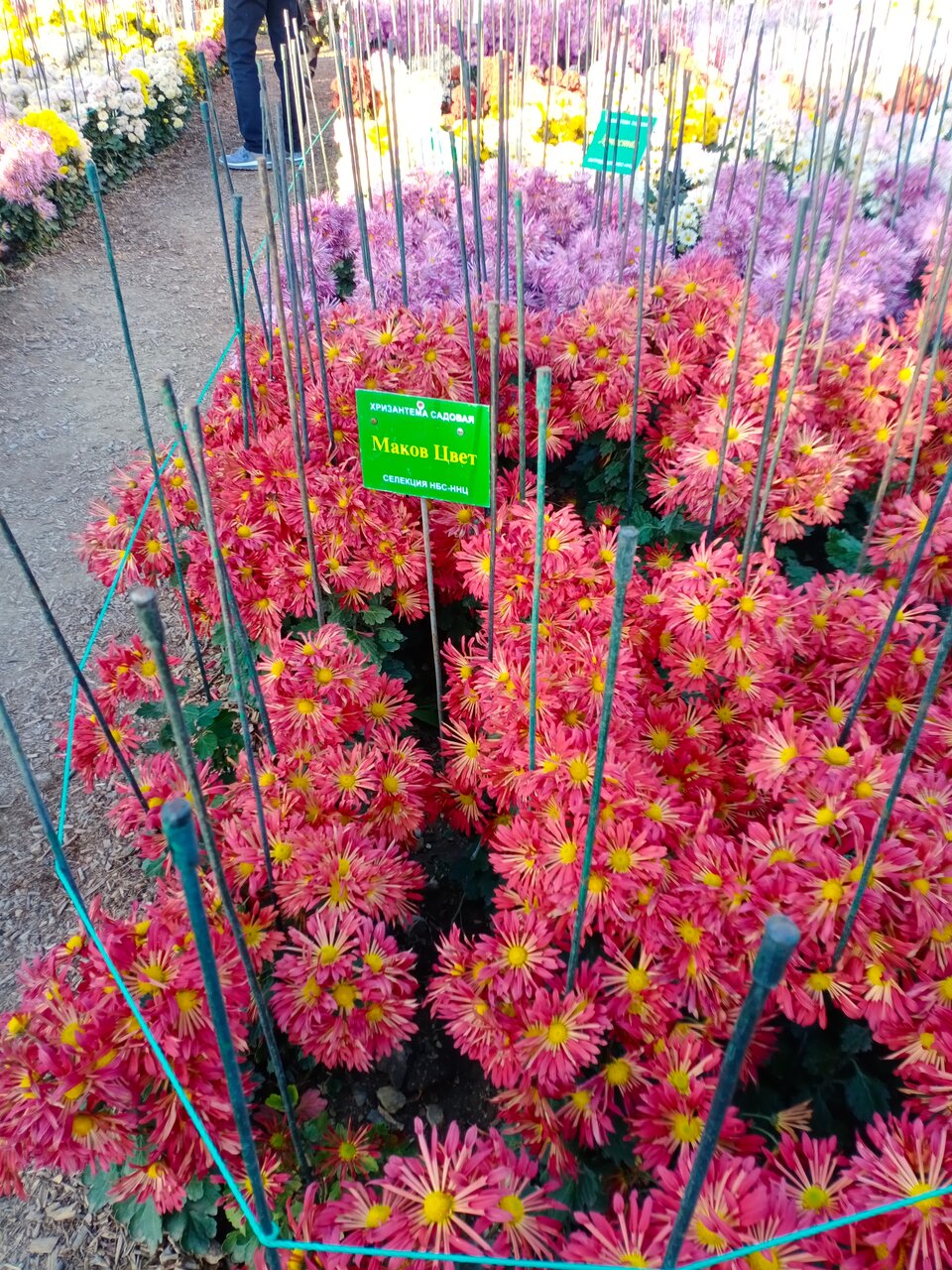 Гостиница Приморье Евпатория-184