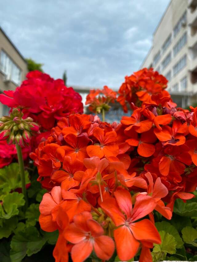 Гостиница Приморье Евпатория-166