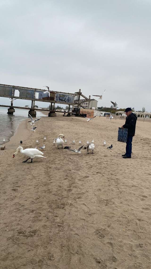 Гостиница Приморье Евпатория-214