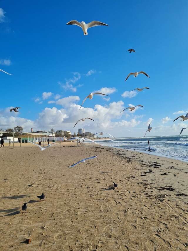 Гостиница Приморье Евпатория-221