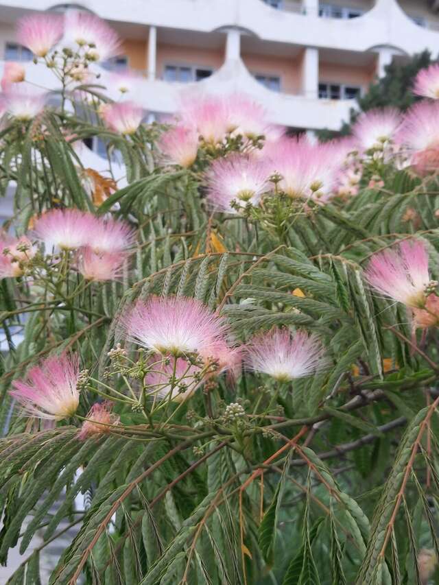 Гостиница Приморье Евпатория-207