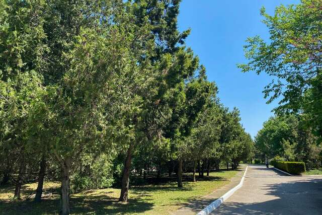 Гостиница Приморье Евпатория-44