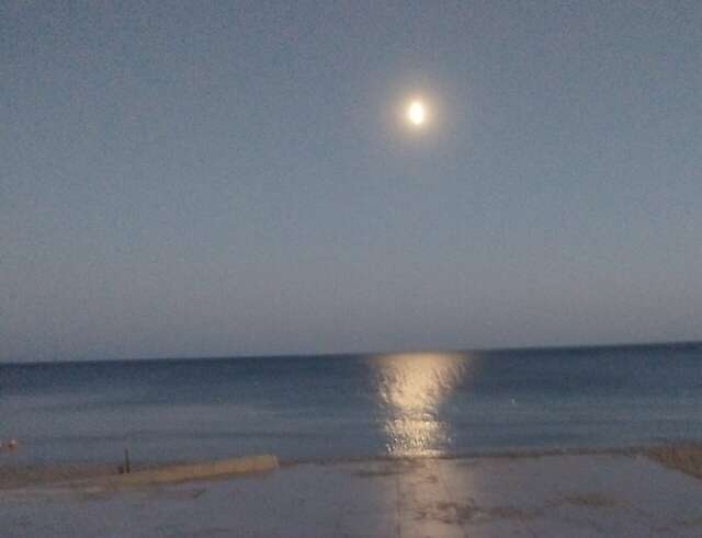 Гостиница Приморье Евпатория-235