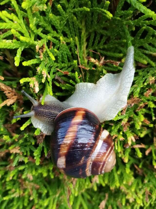 Гостиница Приморье Евпатория-190