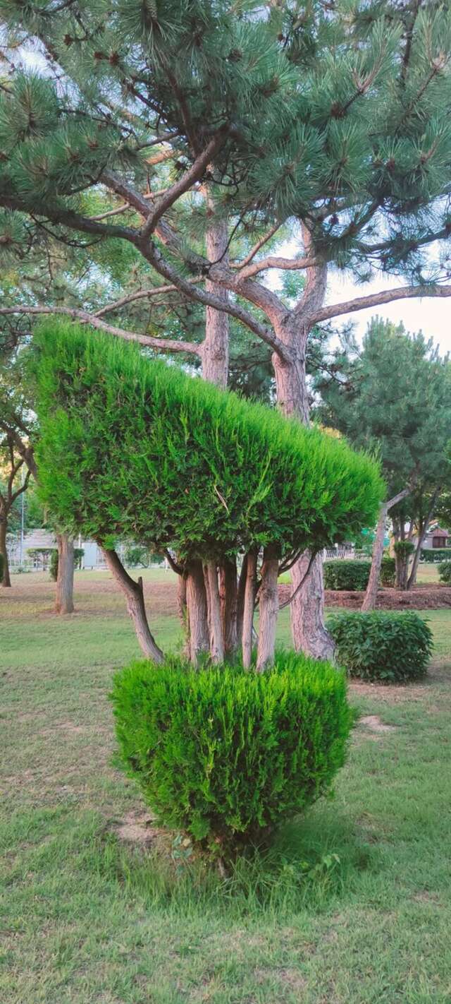 Гостиница Приморье Евпатория-169