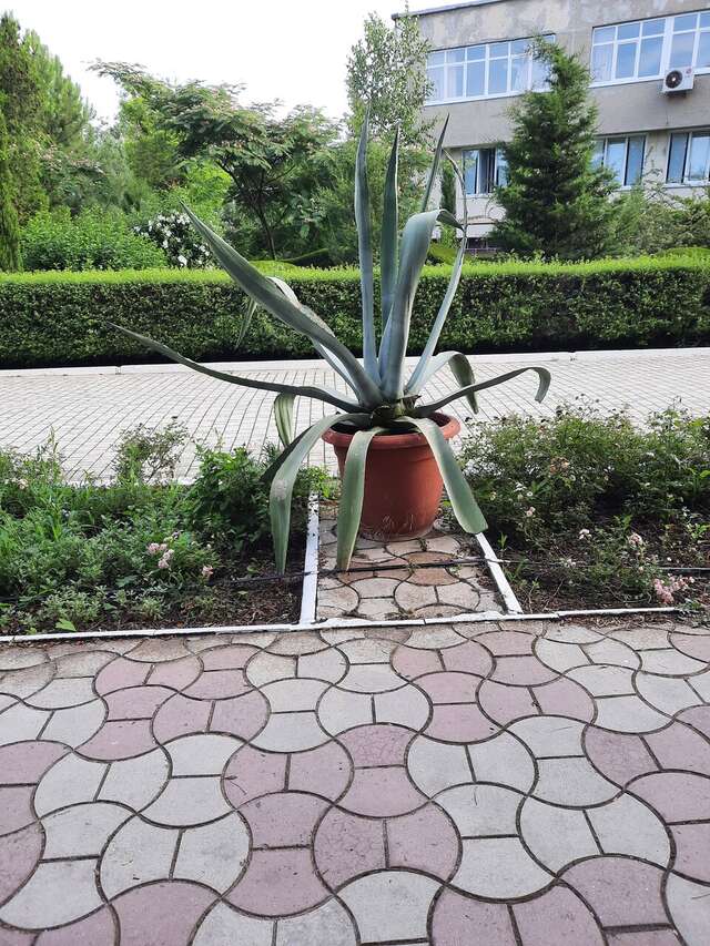 Гостиница Приморье Евпатория-178